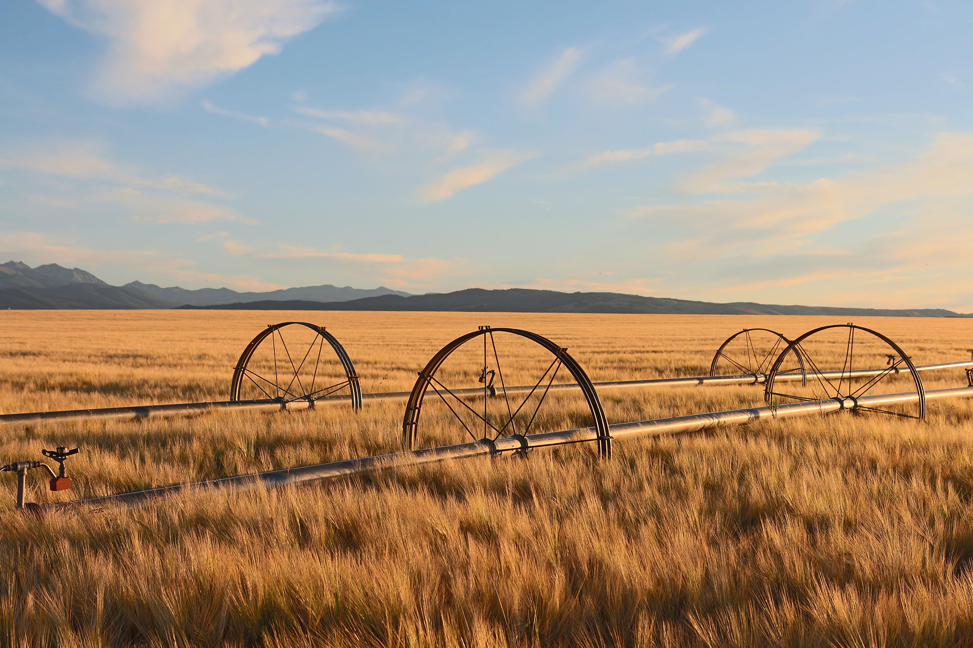 Why USDA Organic Certification Matters & How to Prepare for Your Audit